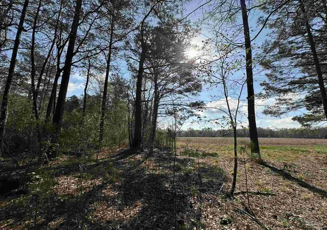 Photo 3 of Land for sale at Lot E Snider Rd, Frisco City, AL 36445 | MLS# 682799 | Listing updated on 2026-06-04