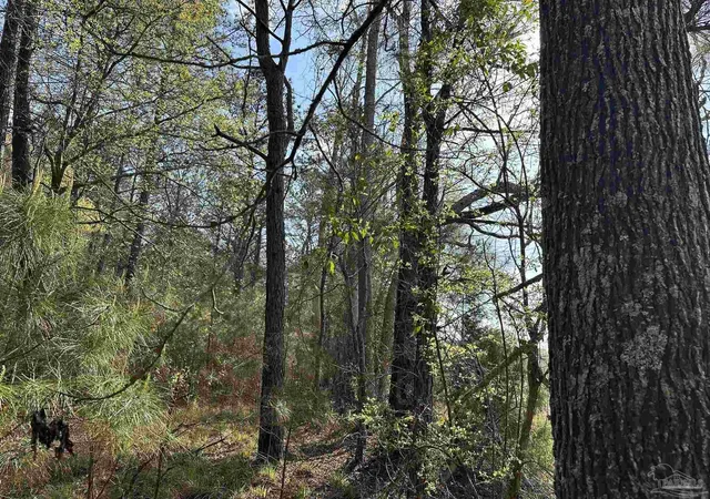 Photo 4 of Land for sale at Lot E Snider Rd, Frisco City, AL 36445 | MLS# 682799 | Listing updated on 2026-06-04