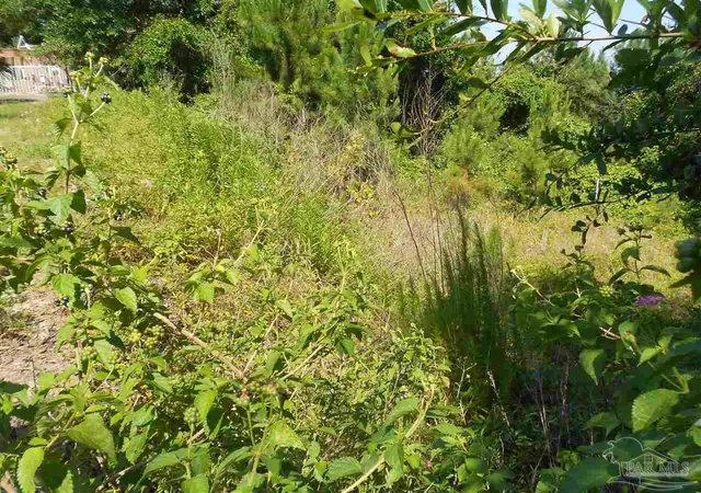 Photo 4 of Land for sale at 6400 Scenic Hwy, Pensacola, FL 32504 | MLS# 595881 | Listing updated on 2025-12-23