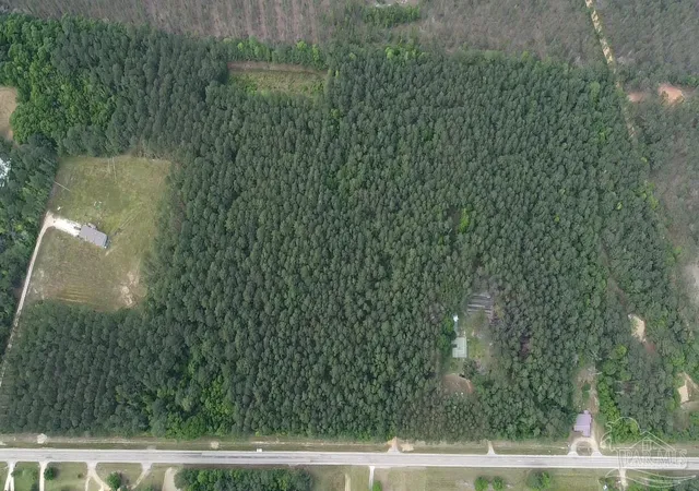 19th image of 11100 Block Hwy 59, Uriah, AL 36480 | MLS# 681679