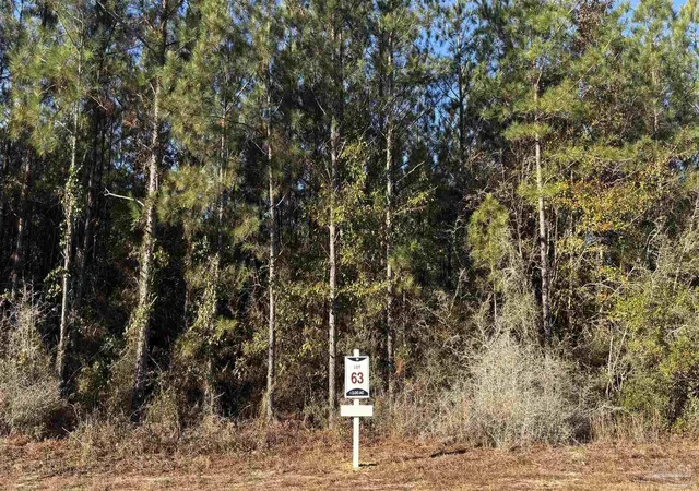 Homes for sale in Jay, FL | Lot 63 Straw Bridge Rd, Jay, FL 32565 | MLS# 675094