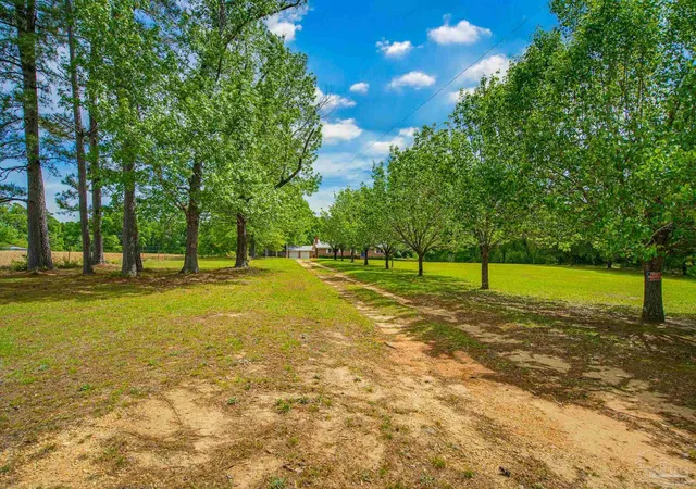 2nd image of 6536 Daniel Griffis Rd, Jay, FL 32565 | MLS# 680818