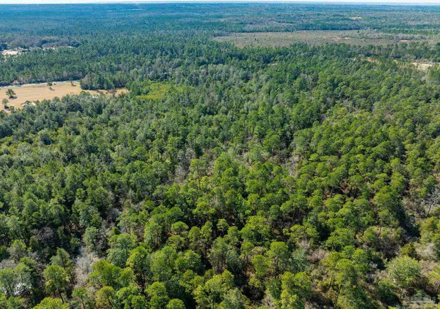 Photo 17 of Land for sale at Lot 9 Brook Xing St, Pace, FL 32571 | MLS# 677652 | Listing updated on 2026-07-17