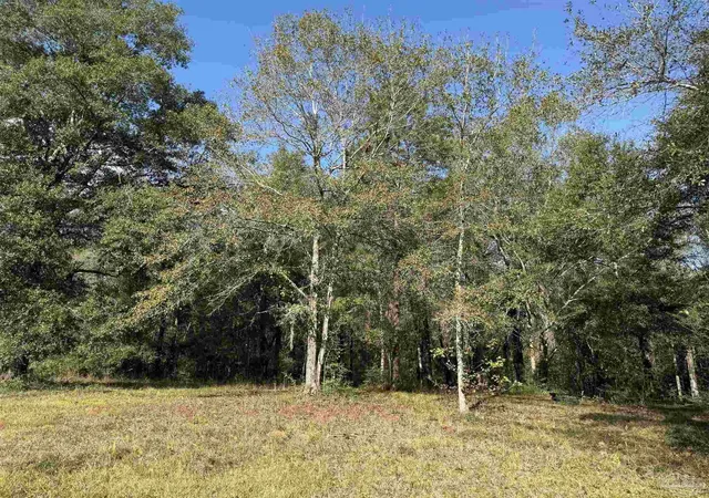 image of 000 Hwy 95 A, Cantonment, FL 32533 | MLS# 674625