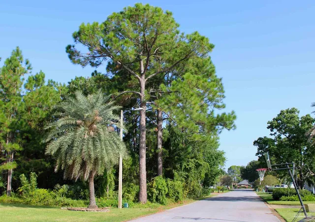 Photo 3 of Land for sale at 1621 Mauna Kea Ct, Gulf Breeze, FL 32563 | MLS# 677383 | Listing updated on 2026-03-04
