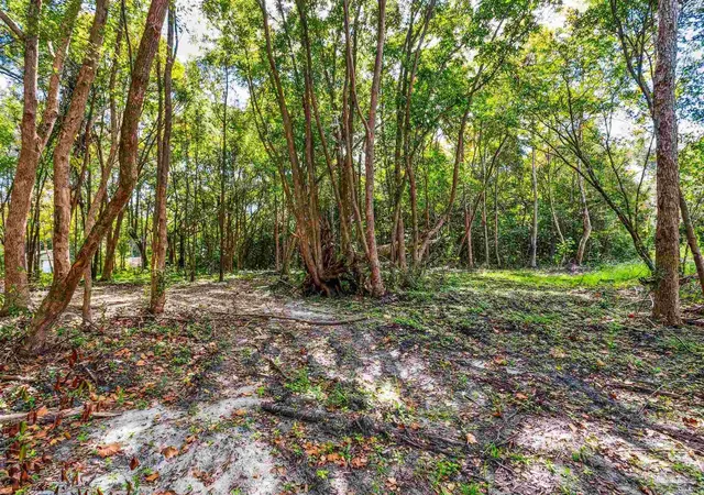 Photo 1 of Land for sale at 0 Ella St, Milton, FL 32583 | MLS# 684686 | Listing updated on 2026-09-11