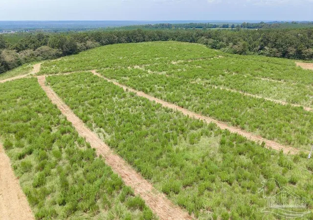 Photo 3 of Land for sale at Lot 4 Whistler Ln, Jay, FL 32565 | MLS# 688171 | Listing updated on 2026-08-28