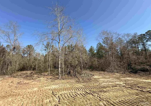 Photo 1 of Land for sale at Lot 16 Brook Xing St, Pace, FL 32571 | MLS# 677659 | Listing updated on 2026-07-17