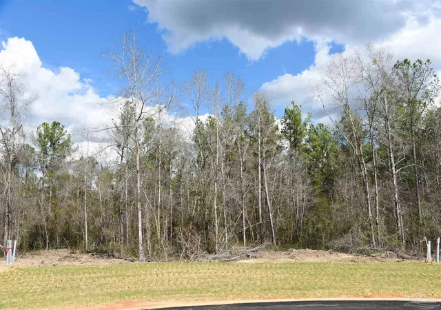 Photo 2 of Land for sale at Lot 16 Brook Xing St, Pace, FL 32571 | MLS# 677659 | Listing updated on 2026-07-17