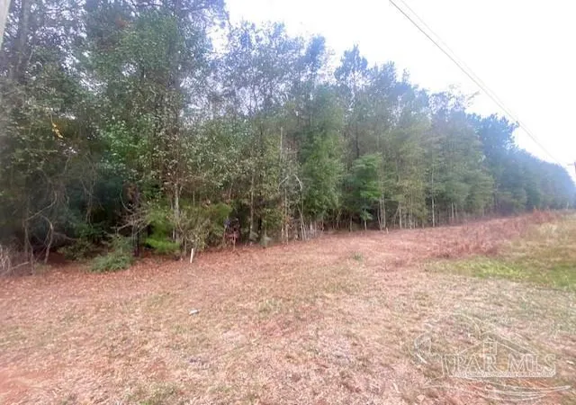 2nd image of 8 Acres Hwy 4, Jay, FL 32565 | MLS# 673033
