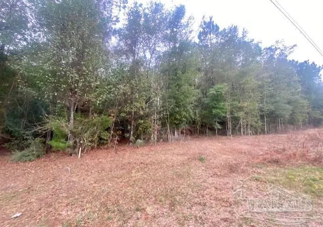 Photo 3 of Land for sale at 855 Acres Hwy 4, Jay, FL 32565 | MLS# 673033 | Listing updated on 2026-08-12