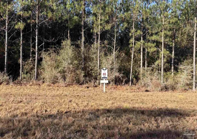 2nd image of Lot 65 Straw Bridge Rd, Allentown, FL 32565 | MLS# 675097