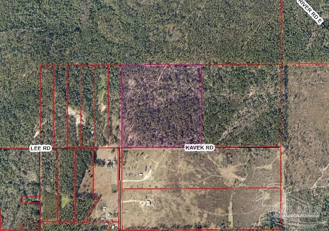 3rd image of 28519 Kavek Rd, Robertsdale, AL 36567 | MLS# 652381