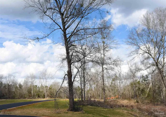 Photo 5 of Land for sale at Lot 11 Brook Xing St, Pace, FL 32571 | MLS# 677644 | Listing updated on 2026-07-17