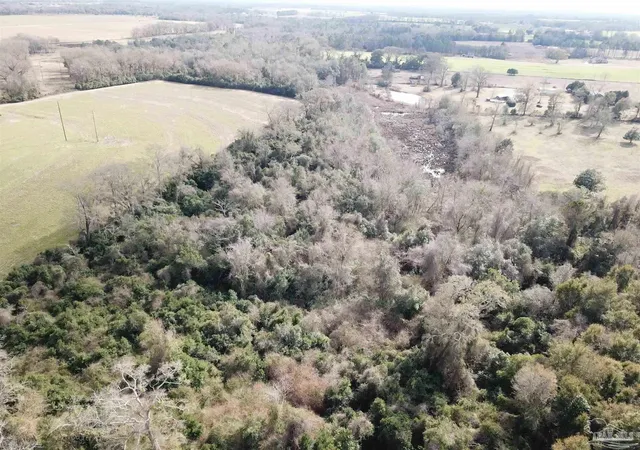 Photo 1 of Land for sale at 13 Acres Hwy 4, Jay, FL 32565 | MLS# 682165 | Listing updated on 2026-07-31