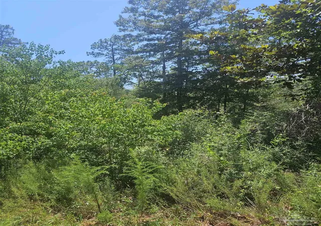 Photo 1 of Land for sale at 5159 Santa Monica St, Milton, FL 32583 | MLS# 685489 | Listing updated on 2026-07-23
