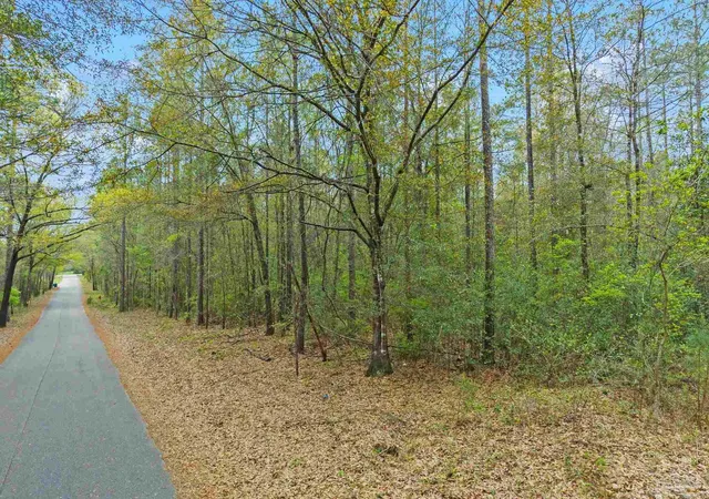 Homes for sale in Flomaton, AL | 0 Tom Shivers Rd, Flomaton, AL 36441 | MLS# 679980
