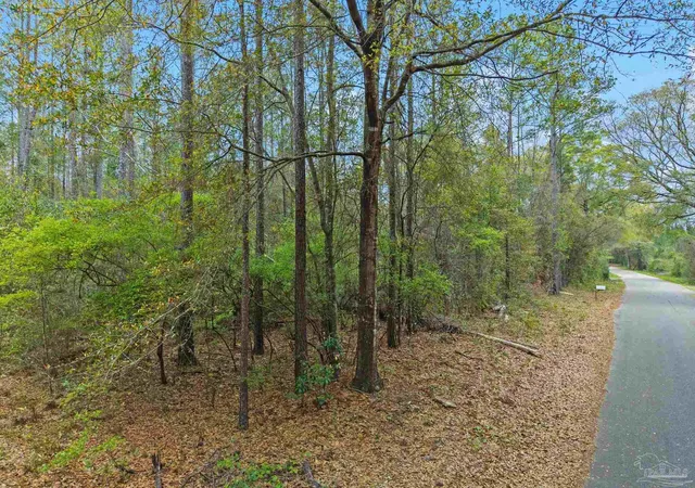 Homes for sale in Flomaton, AL | 0 Tom Shivers Rd, Flomaton, AL 36441 | MLS# 679980