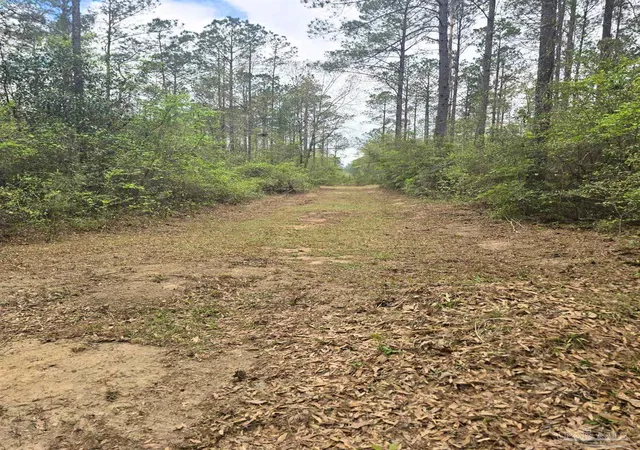 Homes for sale in Flomaton, AL | 0 Tom Shivers Rd, Flomaton, AL 36441 | MLS# 679980