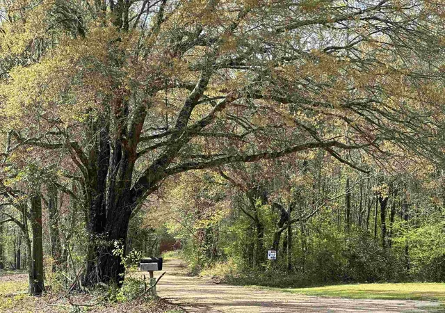 1st image of Parcel G Lett Rd, Frisco City, AL 36445 | MLS# 680299