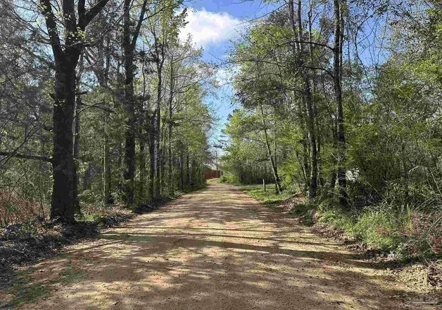 3rd image of Parcel G Lett Rd, Frisco City, AL 36445 | MLS# 680299