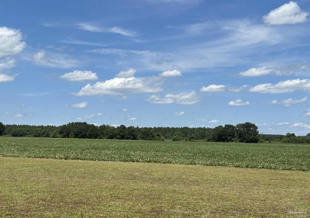 Photo 3 of Land for sale at 8200 Hwy 89, Milton, FL 32570 | MLS# 632066 | Listing updated on 2026-08-15