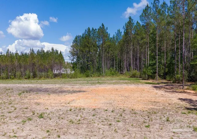 Photo 40 of Land for sale at 1142 Acres Edge Forest Way, Pace, FL 32571 | MLS# 682867 | Listing updated on 2026-07-18