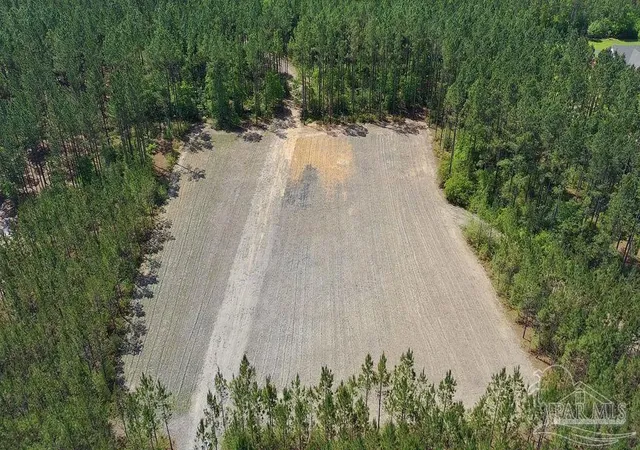 Photo 4 of Land for sale at 1142 Acres Edge Forest Way, Pace, FL 32571 | MLS# 682867 | Listing updated on 2026-07-18