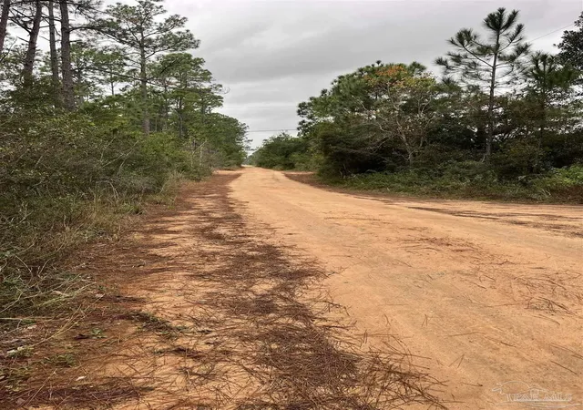 Photo 3 of Land for sale at 0 Havburg Dr, Pensacola, FL 32506 | MLS# 669899 | Listing updated on 2026-08-28