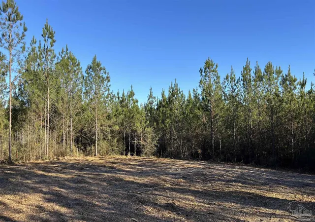 Homes for sale in Jay, FL | Lot 59 Straw Bridge Rd, Jay, FL 32565 | MLS# 675089