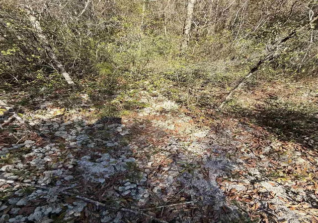 Photo 2 of Land for sale at Lot 17 Brook Xing St, Pace, FL 32571 | MLS# 677657 | Listing updated on 2026-07-17