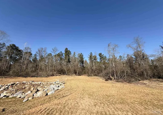 Photo 3 of Land for sale at Lot 17 Brook Xing St, Pace, FL 32571 | MLS# 677657 | Listing updated on 2026-07-17