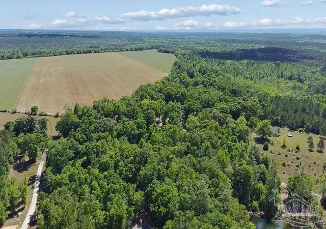 Homes for sale in Jay, FL | 172 Acres Sid Hayes Rd, Jay, FL 32565 | MLS# 680998