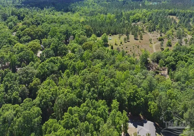 Homes for sale in Jay, FL | 172 Acres Sid Hayes Rd, Jay, FL 32565 | MLS# 680998