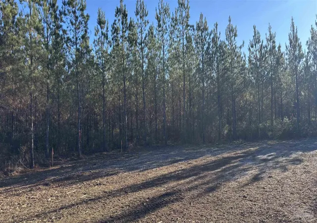 Homes for sale in Jay, FL | Lot 56 Straw Bridge Rd, Jay, FL 32565 | MLS# 675081