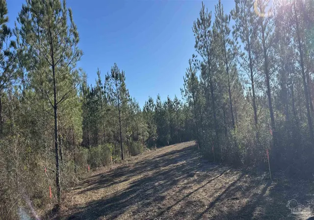 Homes for sale in Jay, FL | Lot 56 Straw Bridge Rd, Jay, FL 32565 | MLS# 675081