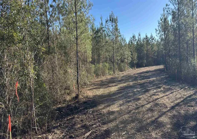 Homes for sale in Jay, FL | Lot 56 Straw Bridge Rd, Jay, FL 32565 | MLS# 675081