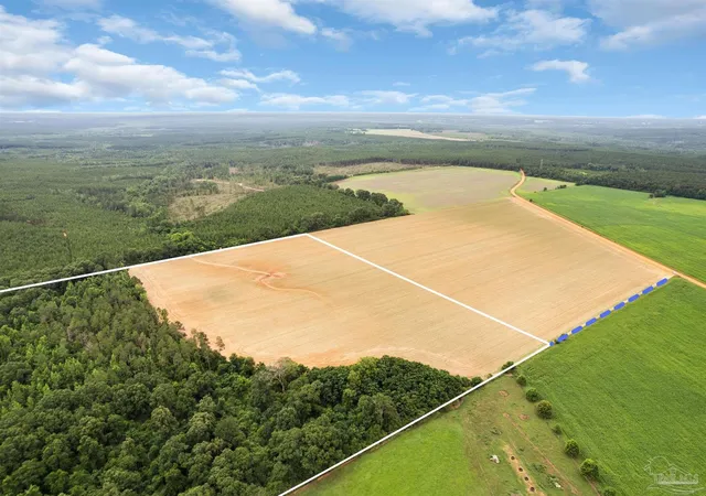 2nd image of 1 Old Stage Rd, Repton, AL 36475 | MLS# 684536