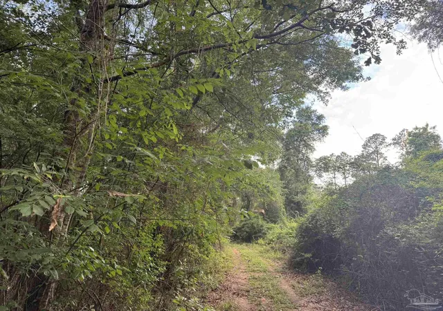 3rd image of 1 Old Stage Rd, Repton, AL 36475 | MLS# 684536