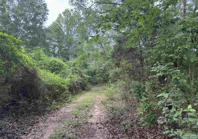4th image of 1 Old Stage Rd, Repton, AL 36475 | MLS# 684536