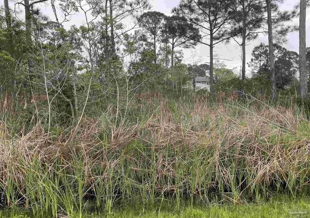 Photo 1 of Land for sale at 5500 Blk Bob O Link Rd, Pensacola, FL 32507 | MLS# 677006 | Listing updated on 2026-10-29