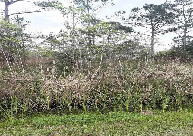 Photo 2 of Land for sale at 5500 Blk Bob O Link Rd, Pensacola, FL 32507 | MLS# 677006 | Listing updated on 2026-10-29