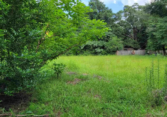 53rd image of 6770 N Hwy 87, Milton, FL 32570 | MLS# 685297