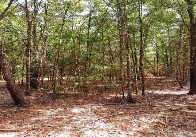 1st image of Parcel C 2 Wildlife Rd, Holt, FL 32564 | MLS# 675501