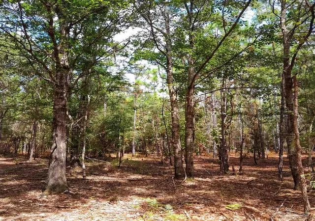 2nd image of Parcel C 2 Wildlife Rd, Holt, FL 32564 | MLS# 675501