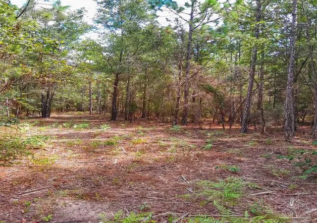3rd image of Parcel C-2 Wildlife Rd, Holt, FL 32564 | MLS# 675501