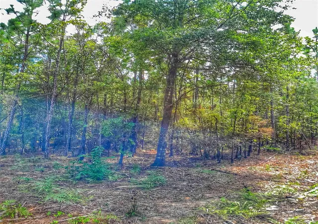 4th image of Parcel C-2 Wildlife Rd, Holt, FL 32564 | MLS# 675501