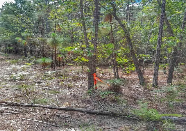 5th image of Parcel C 2 Wildlife Rd, Holt, FL 32564 | MLS# 675501