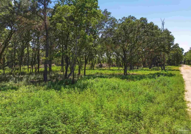Photo 1 of Land for sale at 5228 Josacs Tr, Milton, FL 32583 | MLS# 684027 | Listing updated on 2026-09-24