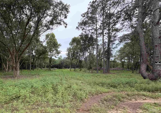 Photo 2 of Land for sale at 5228 Josacs Tr, Milton, FL 32583 | MLS# 684027 | Listing updated on 2026-09-24